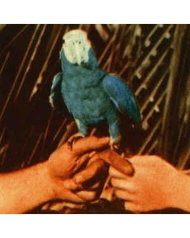 BIRD ANDREW: ARE YOU SERIOUS CD