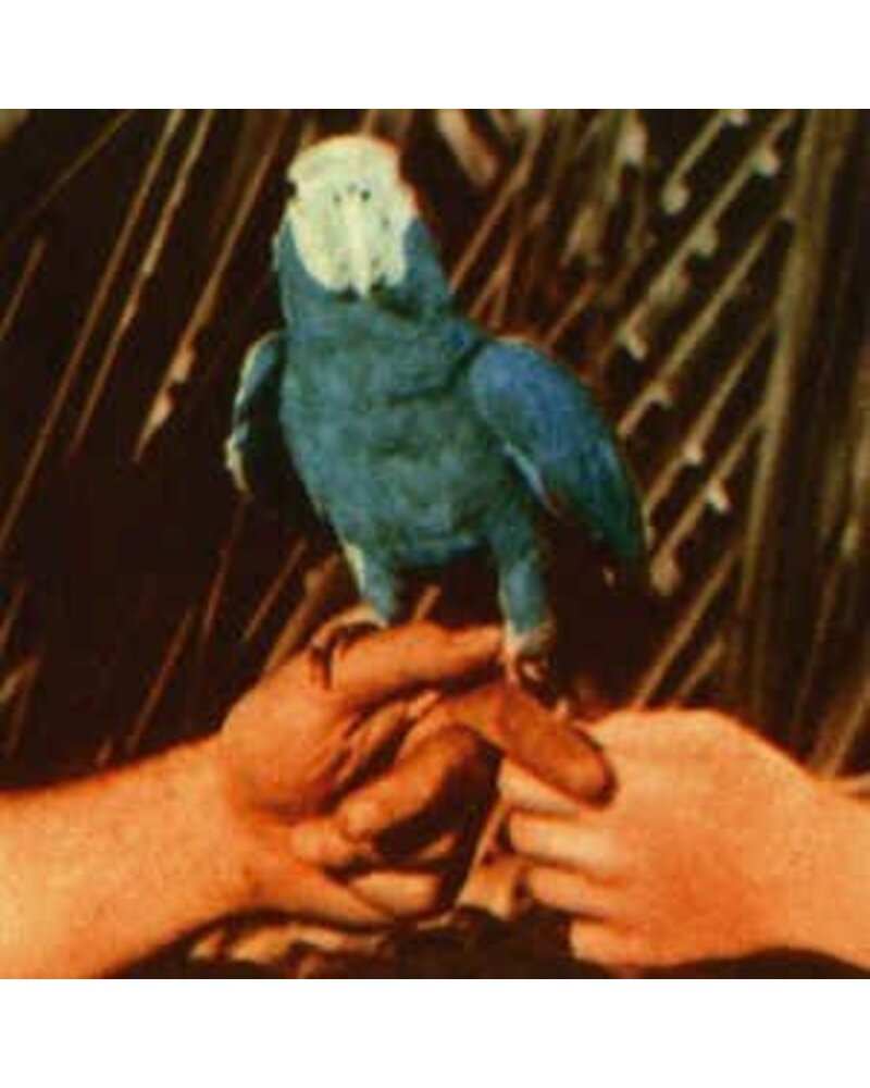 Andrew Bird – Are You Serious (CD) — viršelis