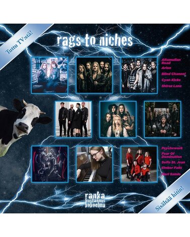 RAGS TO NITCHES: RAGS TO NITHCHES LP