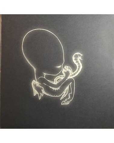 SIGUR ROS: AGAETIS BYRJUN 2LP