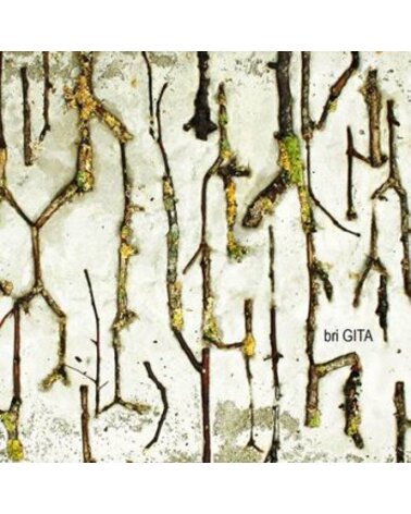 BRIGITA: BRIGITA CD dgp