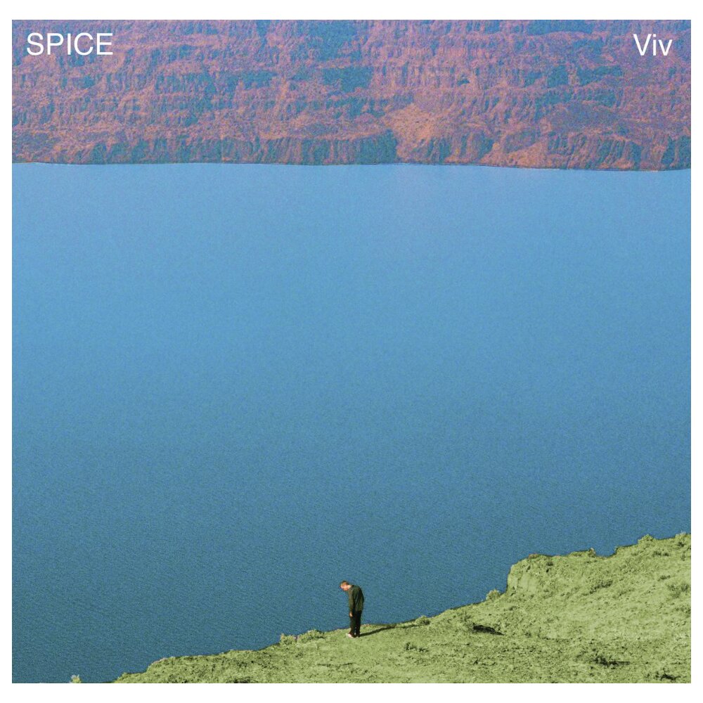 Spice – Viv (LP) — viršelis