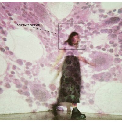 SOCCER MOMMY: SOMETIMES, FOREVER LP