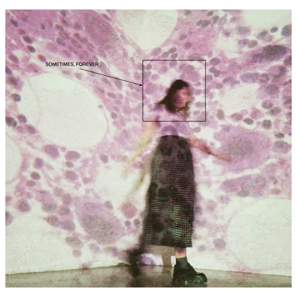 Soccer Mommy – Sometimes, Forever (LP) — viršelis