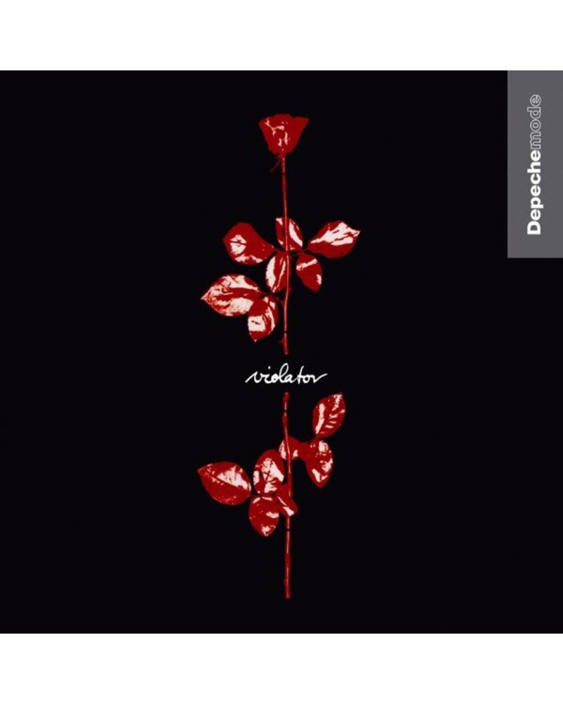 DEPECHE MODE: VIOLATOR CD/DVD — DVD viršelis