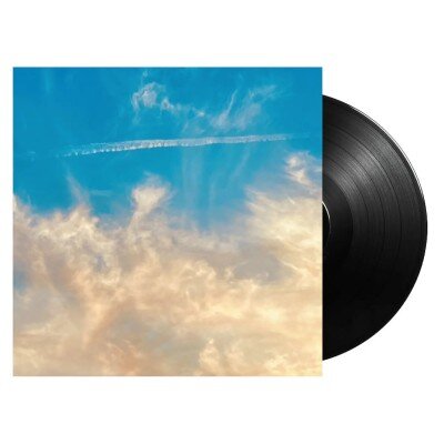 THIRTY SECONDS TO MARS: IT'S THE END OF THE WORLD BUT IT'S A BEAUTIFUL DAY Black LP