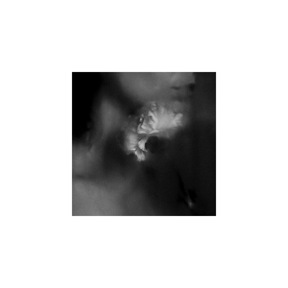 Holding Absence – Holding Absence (vinilas) — viršelis