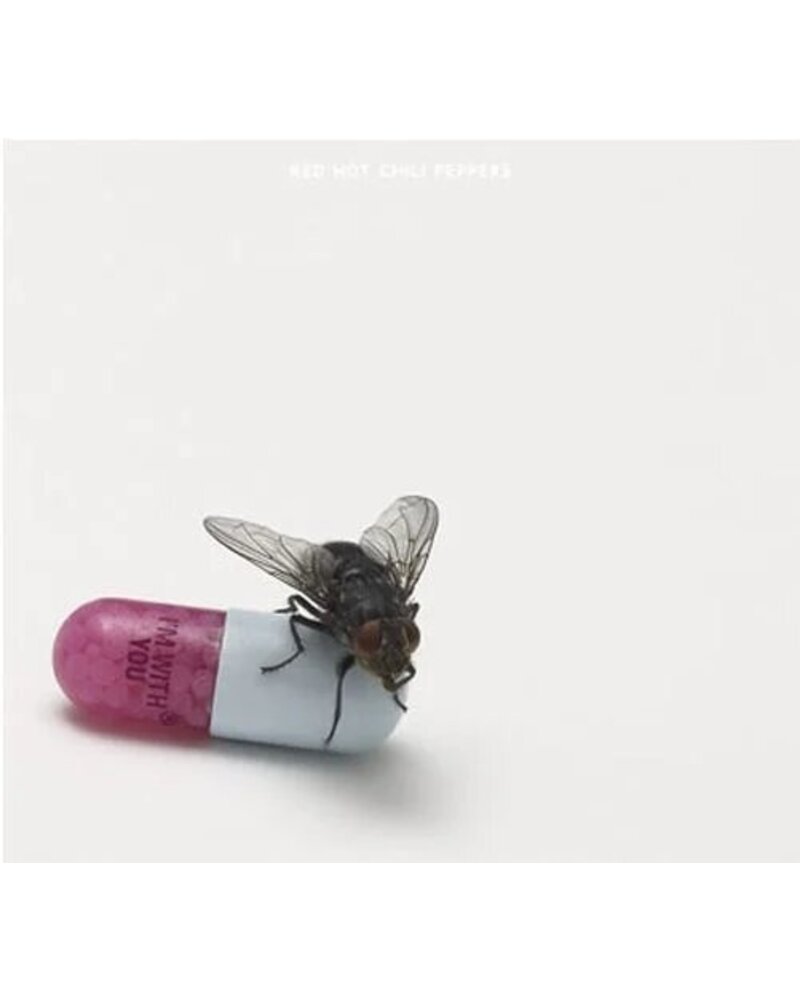 Red Hot Chili Peppers – I'm With You (CD) — viršelis