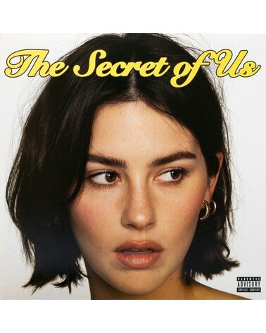 ABRAMS GRACIE: THE SECRET OF US 1LP