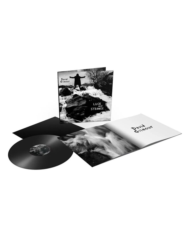 David Gilmour – Luck And Strange (vinilo plokštelė) — viršelis