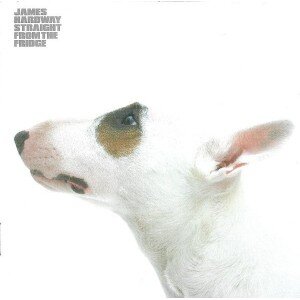 HARDWAY JAMES: STRAIGHT FROM THE FRIDGE CD