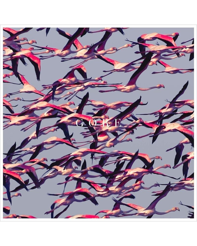 Deftones – Gore (2 LP) — viršelis