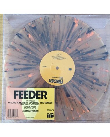 FEEDER: FEELING A MOMENT / PUSHING 10in RSD 2020