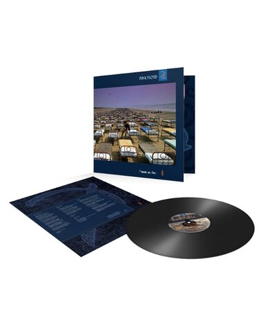 Pink Floyd: A Momentary Lapse of Reason LP 2025 Sony