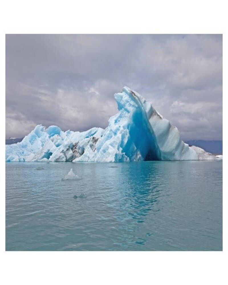 Surfer Blood – Snowdonia (spalvotas LP) — viršelis