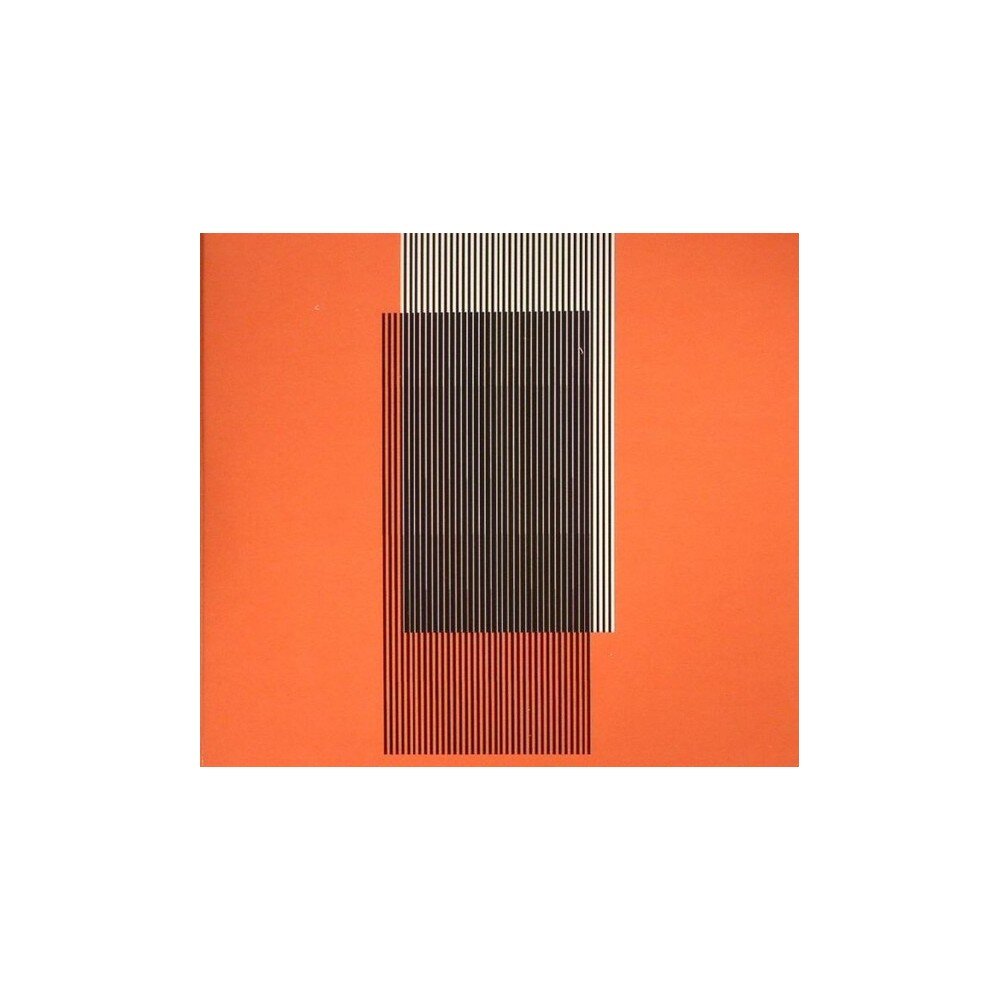 Hot Chip – Why Make Sense? (CD) — viršelis