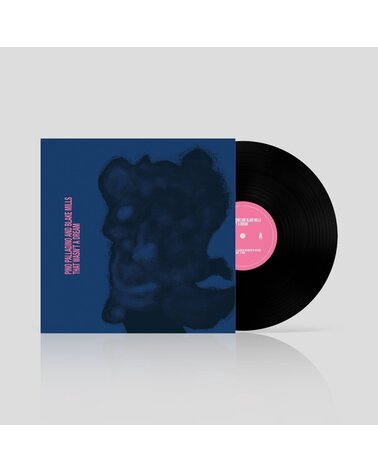 PINO PALLADINO & BLAKE MILLS: THAT WASN'T A DREAM 1LP