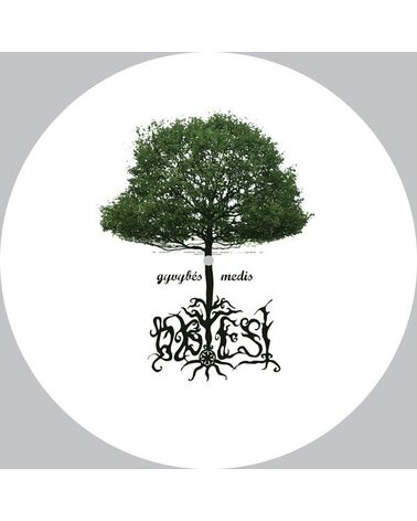 OBTEST: GYVYBĖS MEDIS 1LP