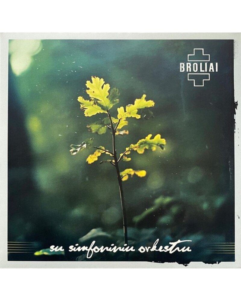 Aistė Smilgevičiūtė ir Skylė – Broliai (2LP) — viršelis