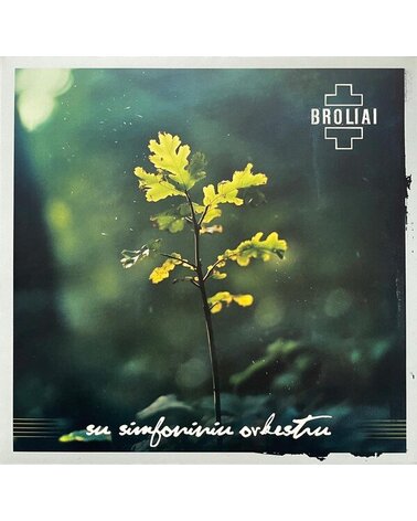SMILGEVIČIŪTĖ AISTĖ IR SKYLĖ: BROLIAI – SU SIMFONINIU ORKESTRU 2LP