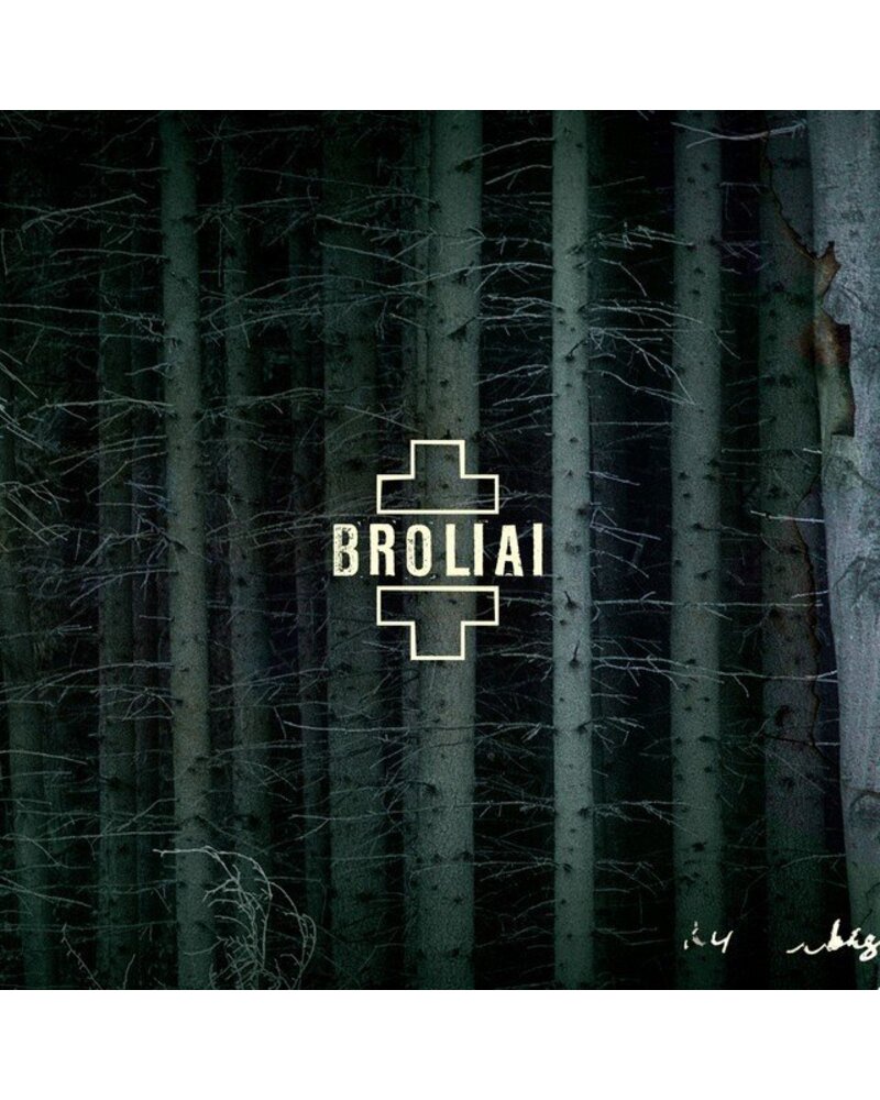 Aistė Smilgevičiūtė ir Skylė – Broliai (2 LP) — viršelis