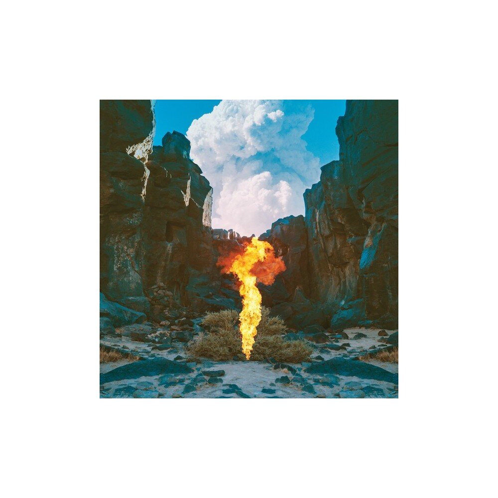 Bonobo – Migration (2 LP) — viršelis