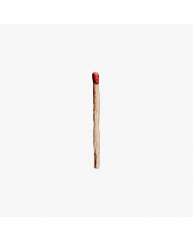 Rammstein – Rammstein (2 LP)