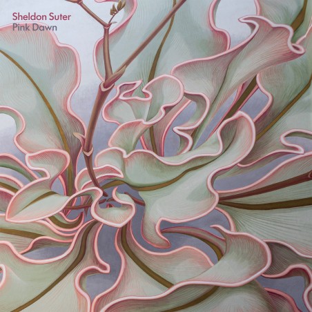 Sheldon Suter – Pink Dawn (LP) | iMuzika.lt