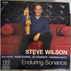 Steven Wilson – Enduring Sonance (LP) | iMuzika.lt