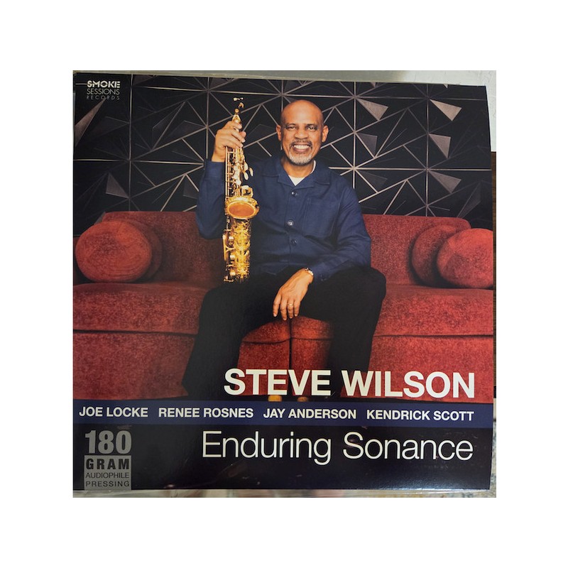 Steven Wilson – Enduring Sonance (LP) — viršelis