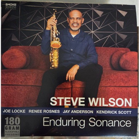 Steven Wilson – Enduring Sonance (LP) | iMuzika.lt