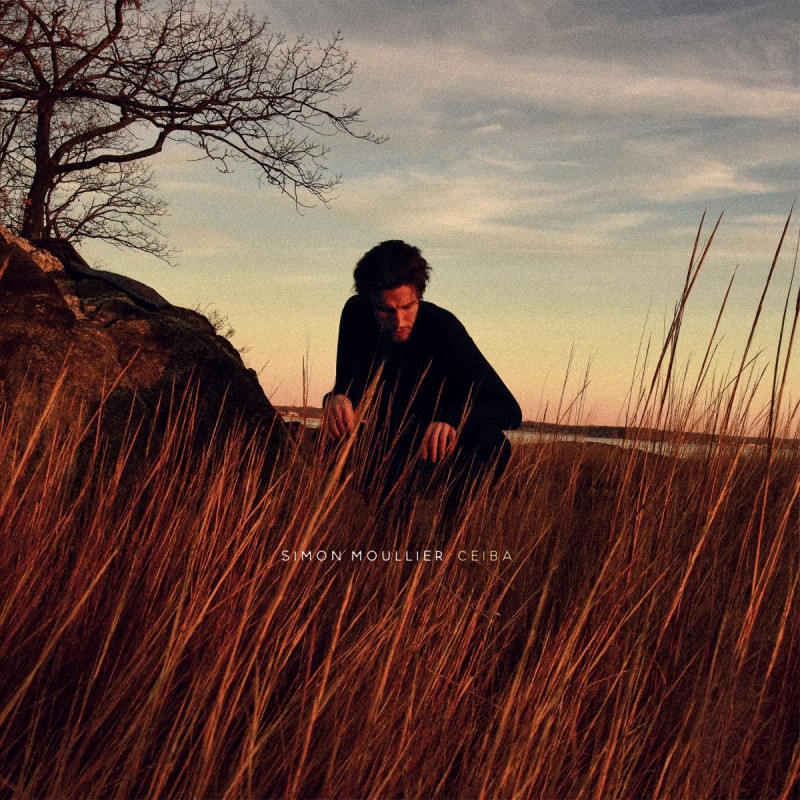 MOULLIER SIMON: CEIBA 1LP — viršelis
