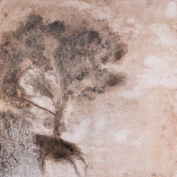 Drop The Spoon – Psst... It’s Raining (LP) | iMuzika.lt