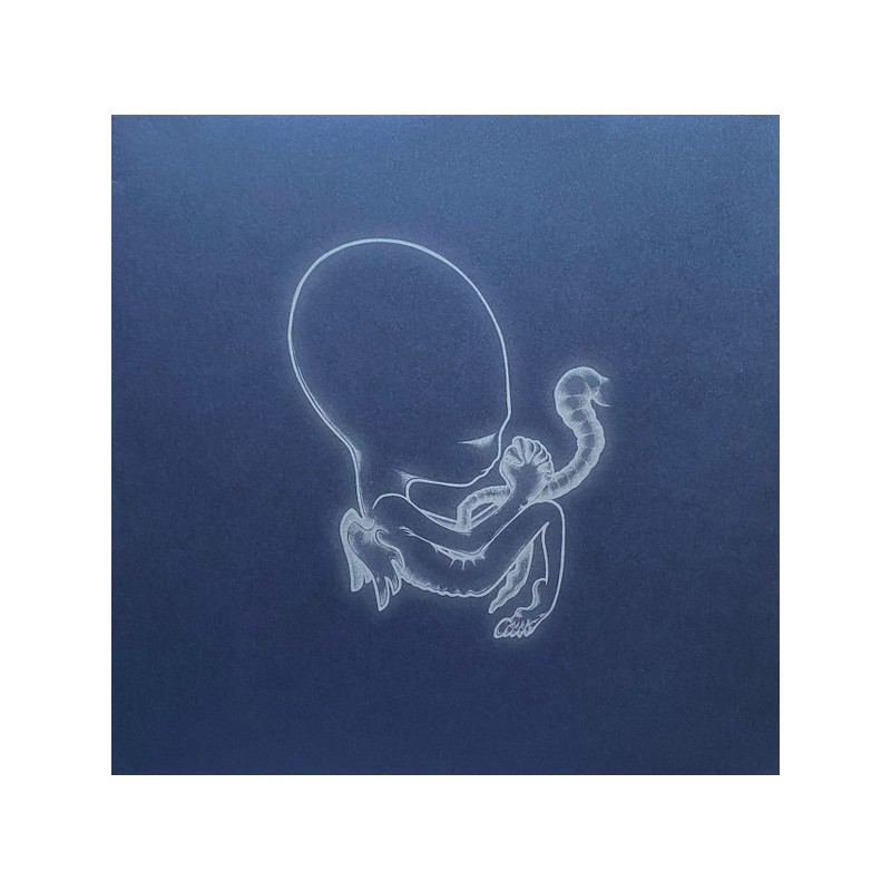 SIGUR ROS: AGAETIS BYRJUN 2LP — Vinyl viršelis