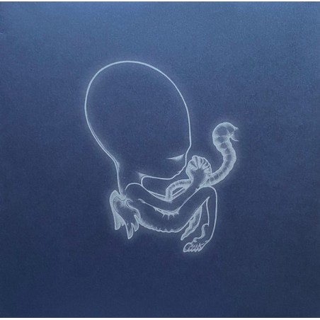 SIGUR ROS: AGAETIS BYRJUN 2LP