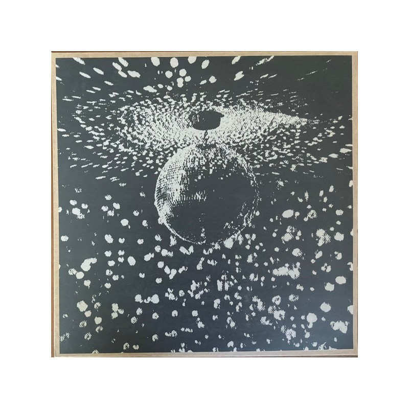 NEIL YOUNG: MIRROR BALL 2LP — Vinyl viršelis