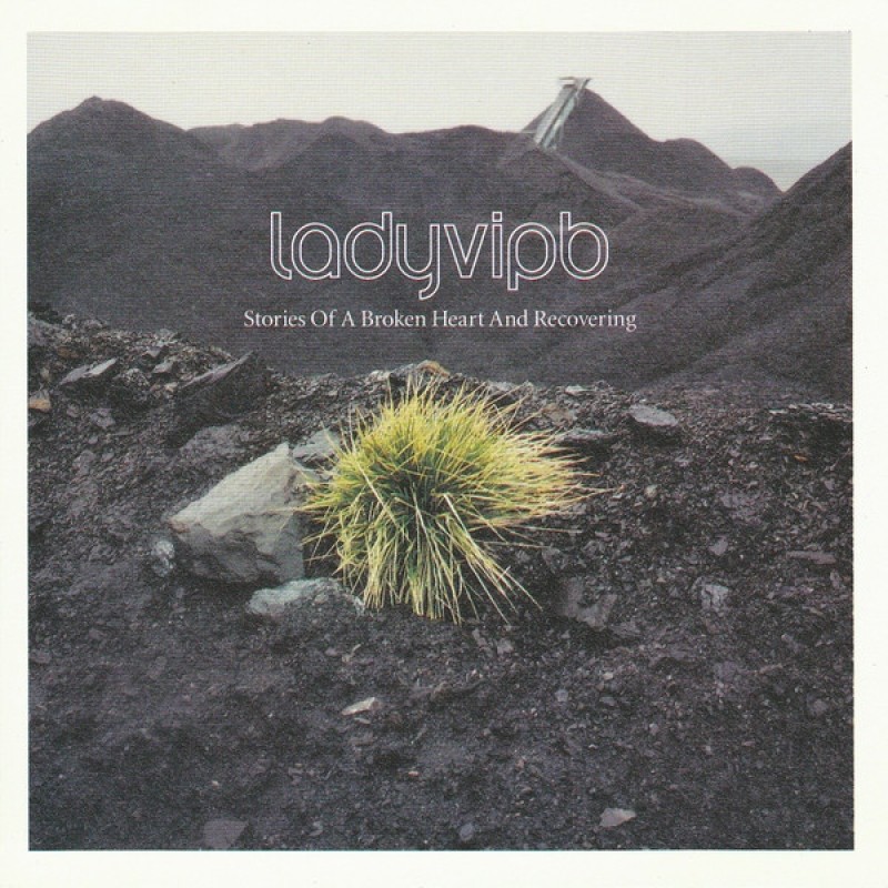 LADYVIPB: STORIES OF A BROKEN HEART AND RECOVERING CD — CD viršelis