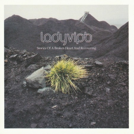 LadyVIPb – Stories Of A Broken Heart (CD) | iMuzika.lt