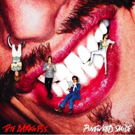 The Darkness – Pinewood Smile (CD) | iMuzika.lt