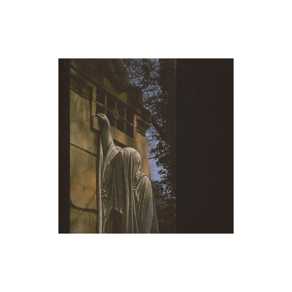 Dead Can Dance – Within The Realm Of A Dying Sun (vinilo plokštelė) — viršelis