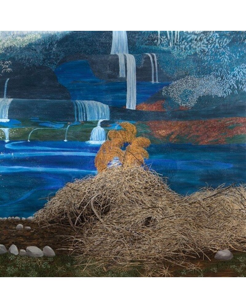 Mary Lattimore – At The Dam (vinilo plokštelė) — viršelis