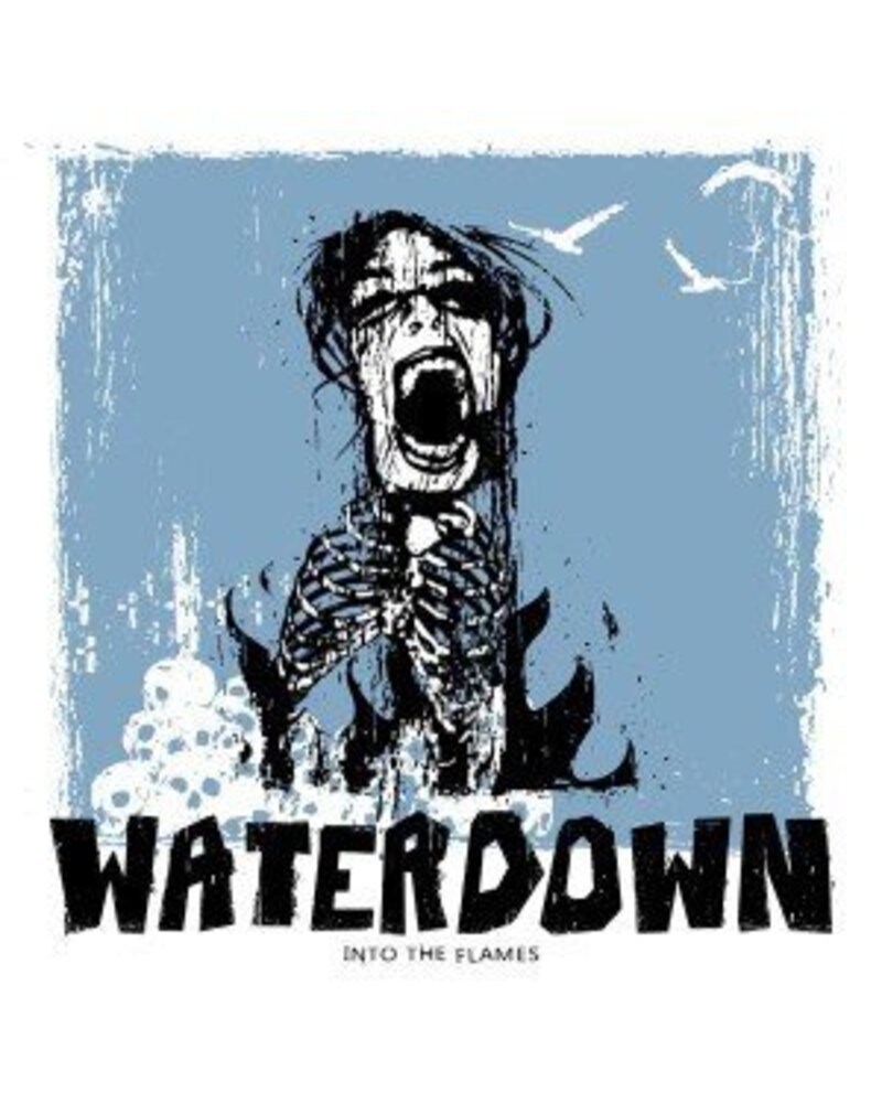 WATERDOWN — INTO THE FLAMES (LP) — viršelis