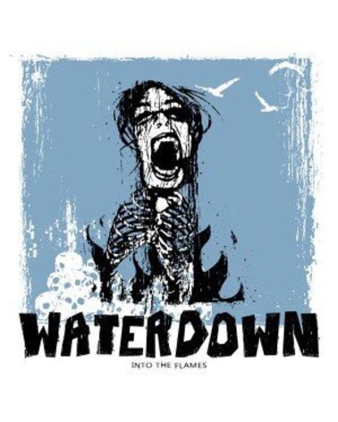WATERDOWN: INTO THE FLAMES LP