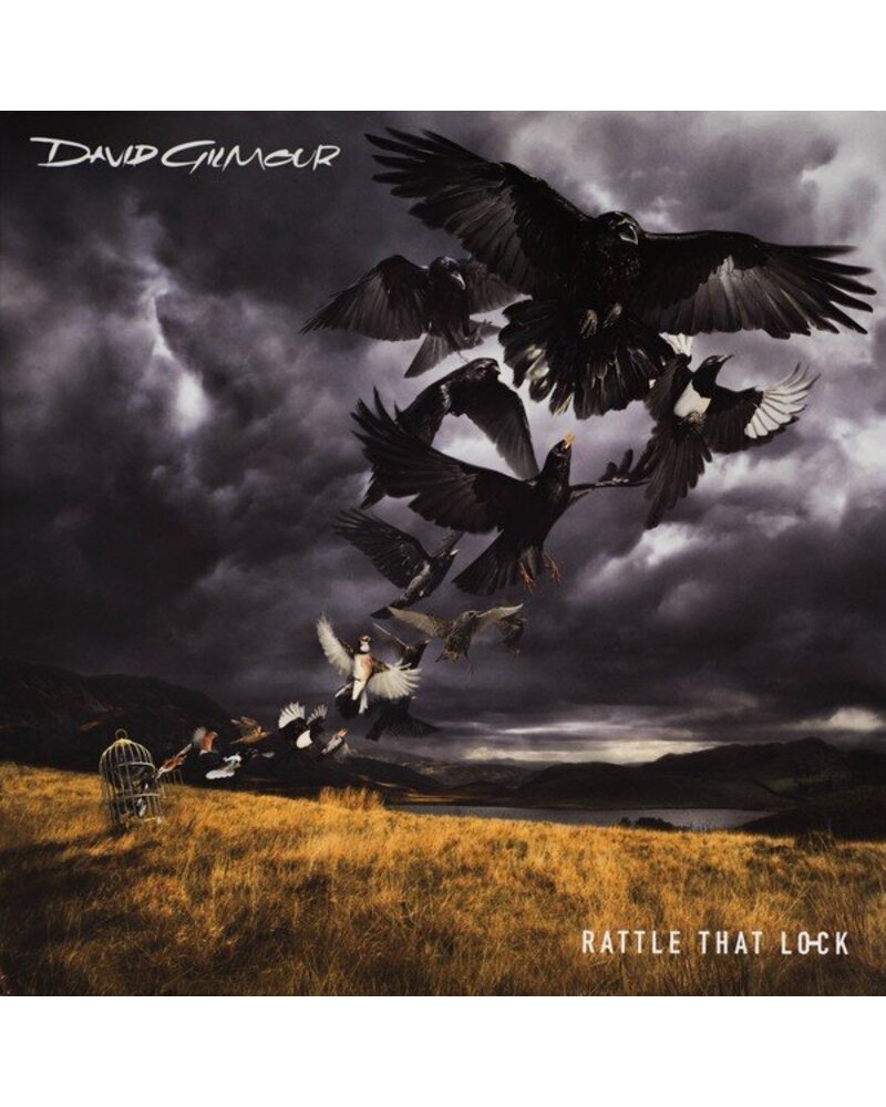 David Gilmour – Rattle That Lock (vinilas) — viršelis
