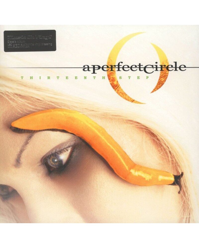 A Perfect Circle – Thirteenth Step (2 vinilo plokštelės) — viršelis