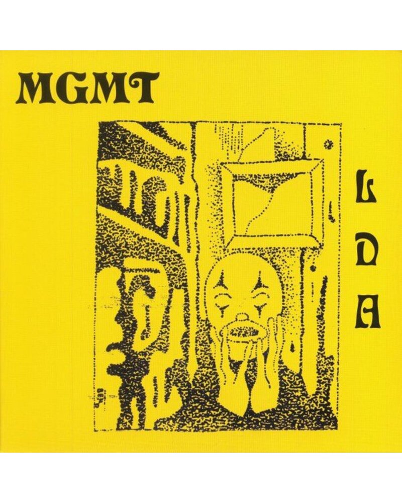 MGMT – Little Dark Age (2 LP) — viršelis