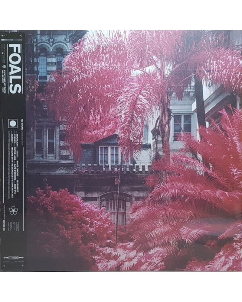Foals – Everything Not Saved... Part 1 (LP) — viršelis