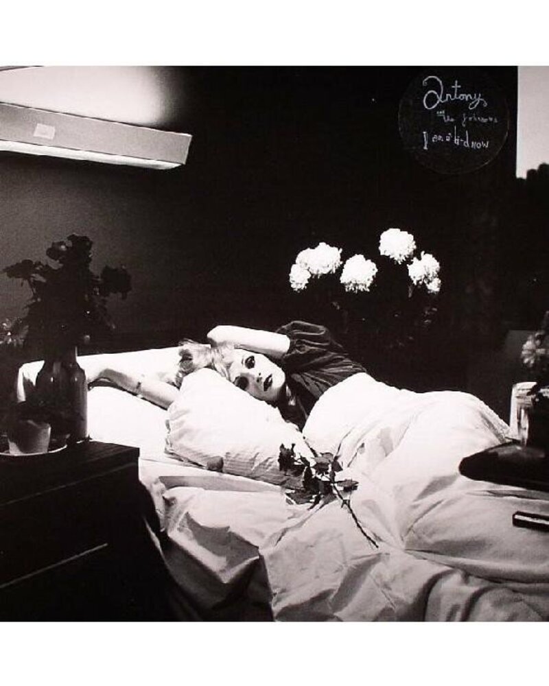 Antony & The Johnsons – I Am A Bird Now (vinilo plokštelė) — viršelis