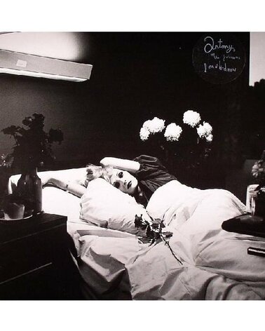 ANTONY & THE JOHNSONS: I'M A BIRD NOW LP