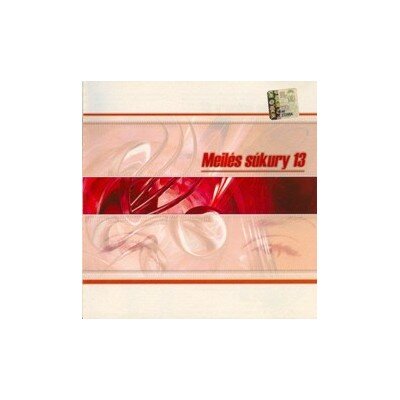 RINKINYS: MEILĖS SŪKURY 13 CD
